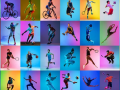 Niche Sports
